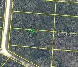 7490 SHASTA ST, Webster, FL 33597