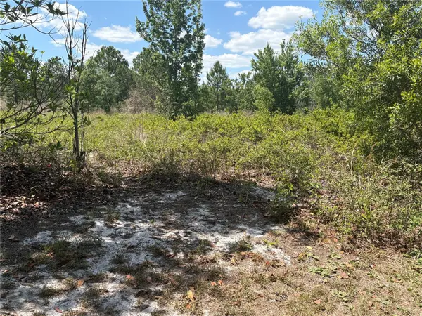 SAN JUAN AVE, Polk City, FL 33868