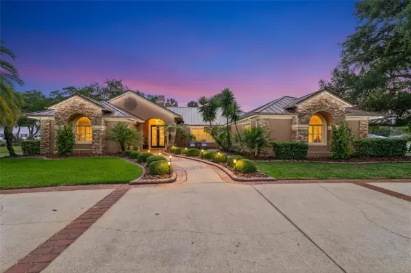 29650 SQUIRREL POINT RD, Tavares, FL 32778