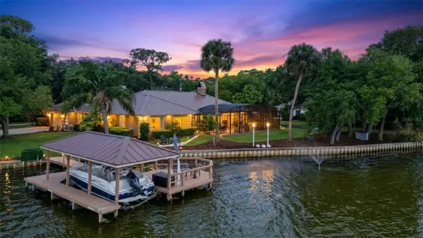 29650 SQUIRREL POINT RD, Tavares, FL 32778