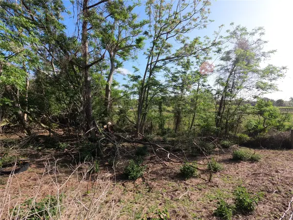 0 EARTH STAR LN, Groveland, FL 34736