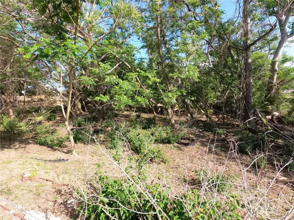 0 EARTH STAR LN, Groveland, FL 34736