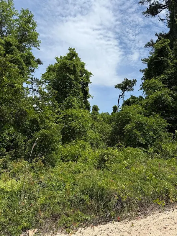 000 FOLKLORE DR, Satsuma, FL 32189