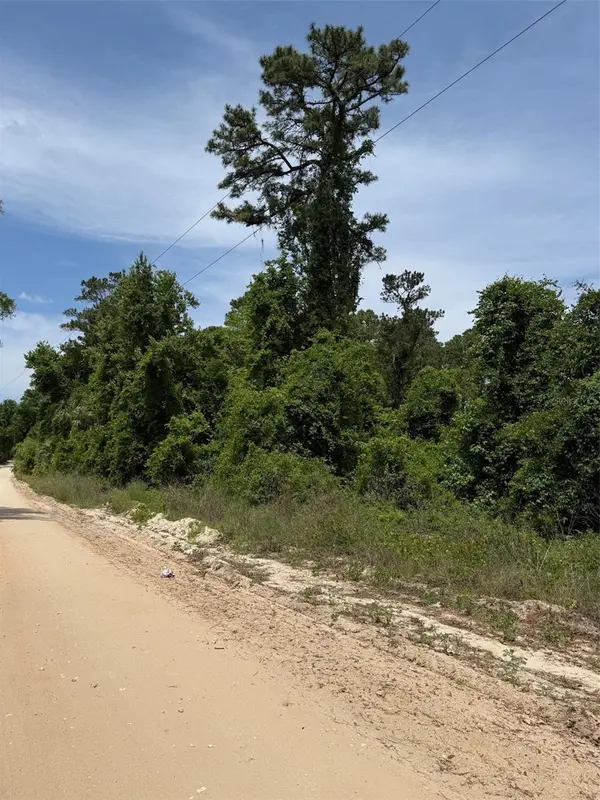 000 FOLKLORE DR, Satsuma, FL 32189