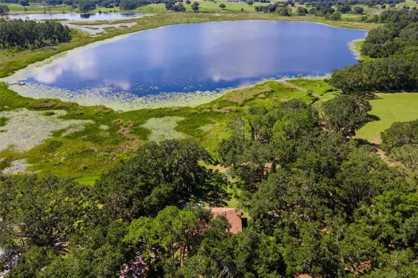 26833 ANDERSON RANCH RD, Yalaha, FL 34797