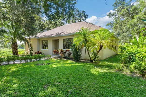 26833 ANDERSON RANCH RD, Yalaha, FL 34797