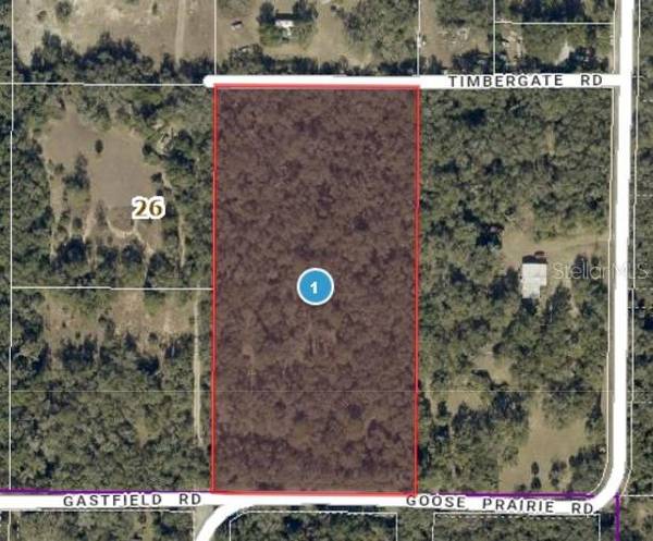 10755 GOOSE PRAIRIE RD, Leesburg, FL 34788
