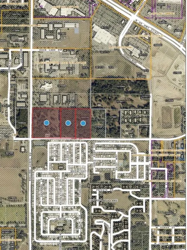 451 ROLLING ACRES RD, Lady Lake, FL 32159
