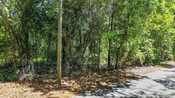 TBD SE 2ND AVE, Gainesville, FL 32641