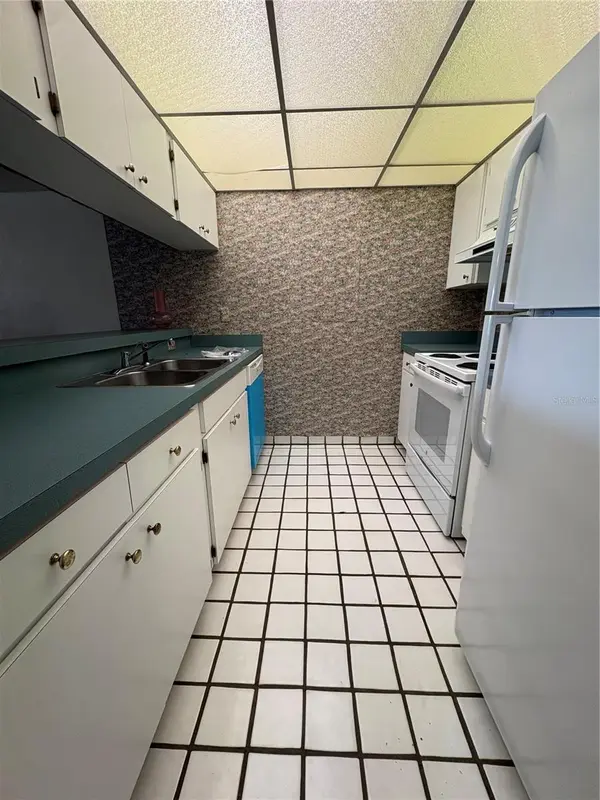 167 PALM VIEW CT #3487, Haines City, FL 33844