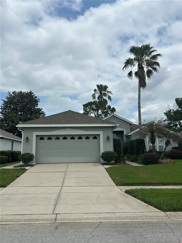 8011 PINE HOLLOW DR, Mount Dora, FL 32757