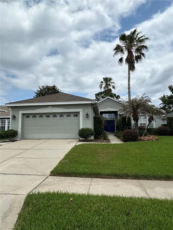 8011 PINE HOLLOW DR, Mount Dora, FL 32757