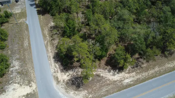 SW RAINBOW LAKES BLVD, Dunnellon, FL 34431