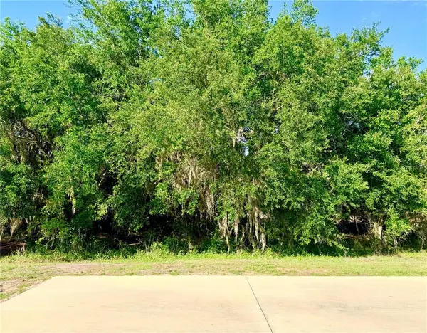 4933 SE 92ND BLVD, Webster, FL 33597