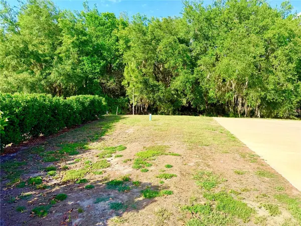 4933 SE 92ND BLVD, Webster, FL 33597