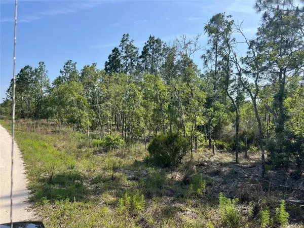 NE 151ST AVE, Williston, FL 32696