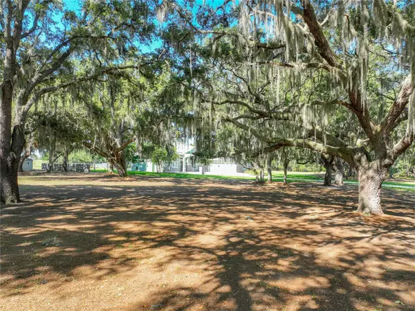 TROTTING HORSE LN, Tavares, FL 32778