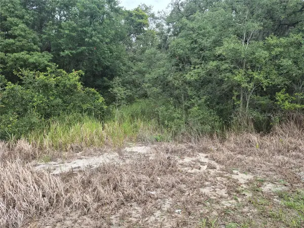 1626 S US 301, Sumterville, FL 33585