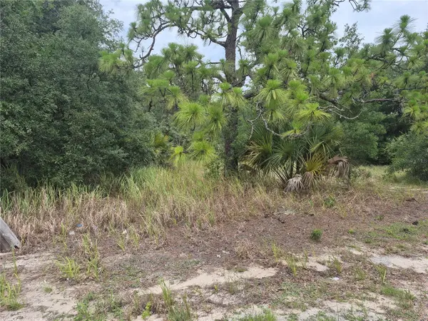 1626 S US 301, Sumterville, FL 33585