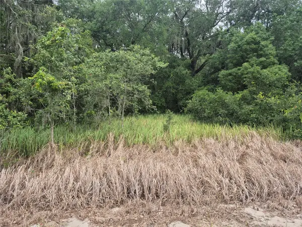 1626 S US 301, Sumterville, FL 33585