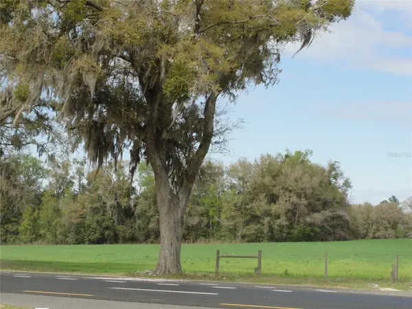 TBD HIGHWAY 441, Alachua, FL 32615