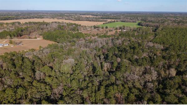 14403 NW 258TH PL, Alachua, FL 32615