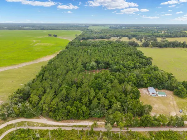 0 SW 234TH ST, Newberry, FL 32669