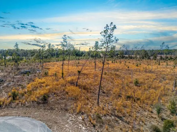 TBD 211TH CT, Live Oak, FL 32060