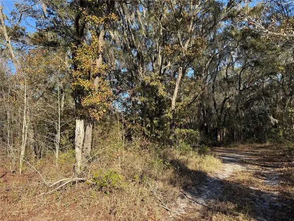 0 NE 126 ST, Bronson, FL 32621