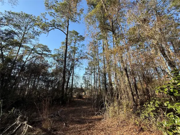 0 NE 126 ST, Bronson, FL 32621
