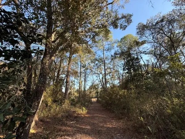 0 NE 126 ST, Bronson, FL 32621