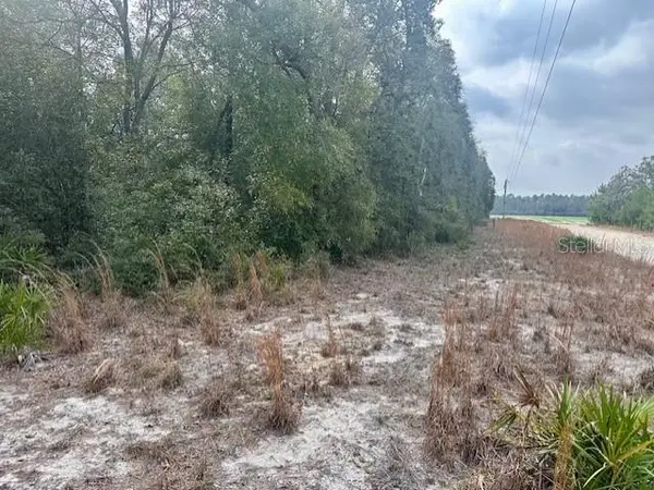 NW 11TH AVE, Bell, FL 32619