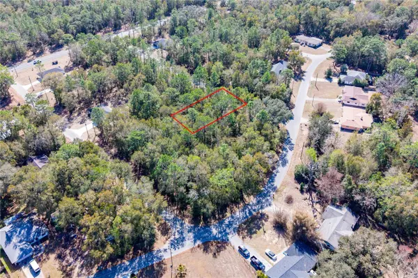 TBD NE 1ST PL, LOT 6, Williston, FL 32696