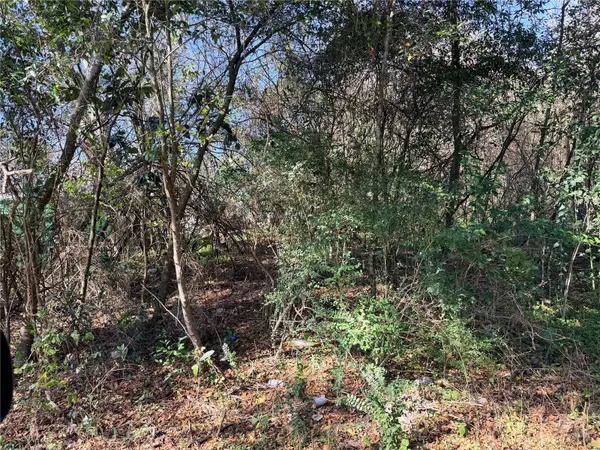 TBD NW 151ST AVE, Alachua, FL 32615