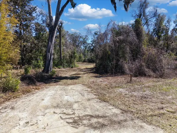 4912 NE HIGHWAY 349, Old Town, FL 32680