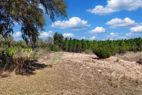 000 NW 60TH AVE, Chiefland, FL 32626
