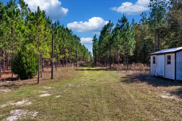 000 NW 60TH AVE, Chiefland, FL 32626