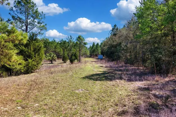 000 NW 60TH AVE, Chiefland, FL 32626
