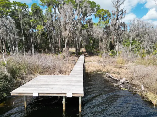 17830 NE 49TH STREET RD, Silver Springs, FL 34488