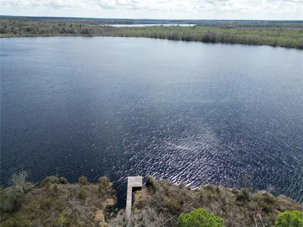 17830 NE 49TH STREET RD, Silver Springs, FL 34488