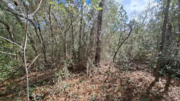 FISHER RUN, Ocklawaha, FL 32183