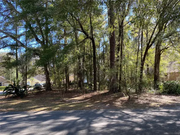 12345 NW 10TH PL, Newberry, FL 32669
