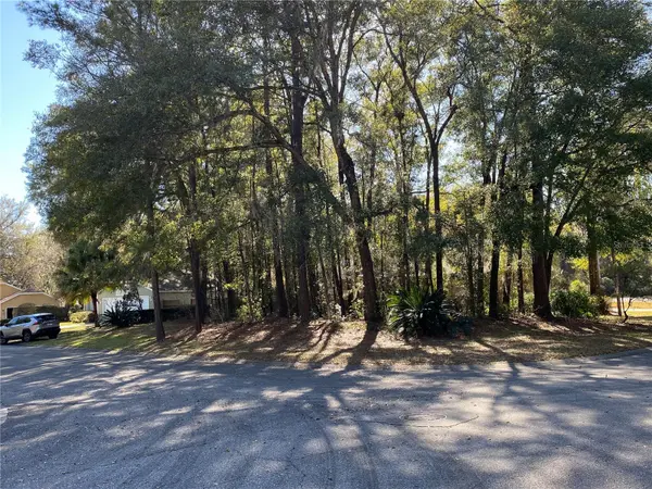 12345 NW 10TH PL, Newberry, FL 32669