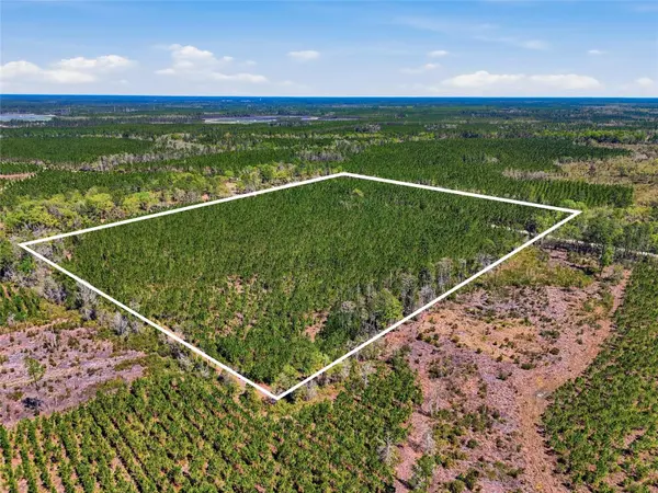 TBD SE POUNDS HAMMOCK RD, Lake City, FL 32025