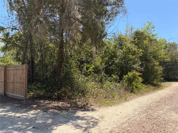 300blk NW 245TH TER, Newberry, FL 32669