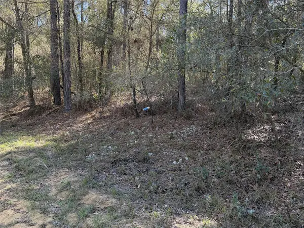 SE 7TH AVE, Interlachen, FL 32148