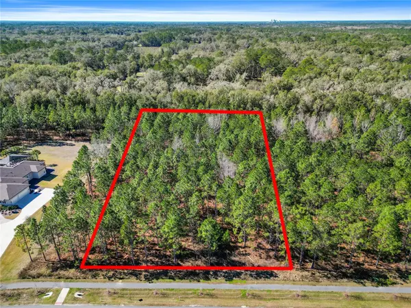 2651 NW 152ND CT, Newberry, FL 32669
