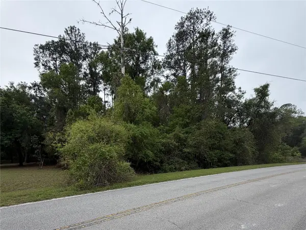 24615 SE 101ST AVE, Hawthorne, FL 32640