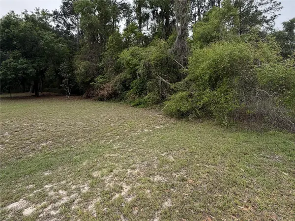 24615 SE 101ST AVE, Hawthorne, FL 32640