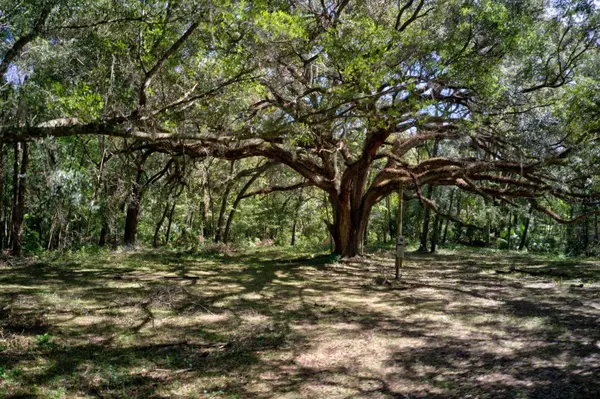 5005 SW 63RD BLVD, Gainesville, FL 32608